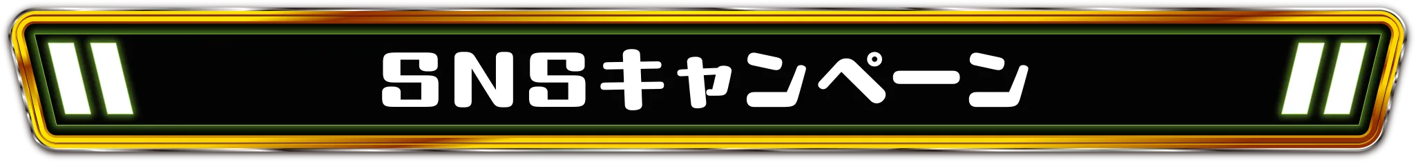 SNSキャンペーン
