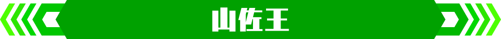 山佐王